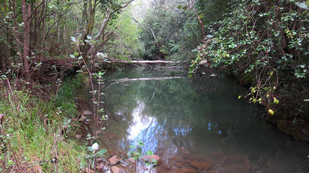 Bsorah river scene